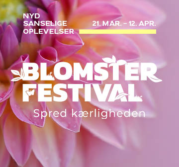 Blomsterfestival - Spred Kærligheden